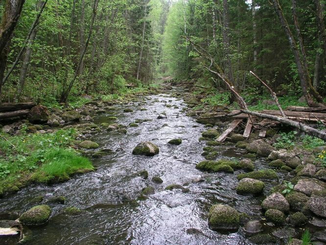 Maakond: Põlvamaa Veekogu nimi: Ahja jõgi Pildistamise aeg: 24. mai 2009 Pildistaja: H. Timm Pildistamise koht: Saesaare pais Asimuut: