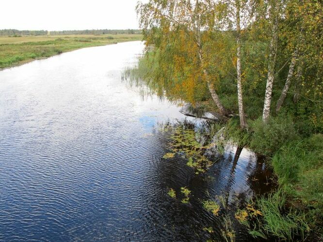 Maakond: Tartumaa Veekogu nimi: Ahja jõgi Pildistamise aeg: 17. september 2010 Pildistaja: H. Timm Pildistamise koht: Lääniste Asimuut: