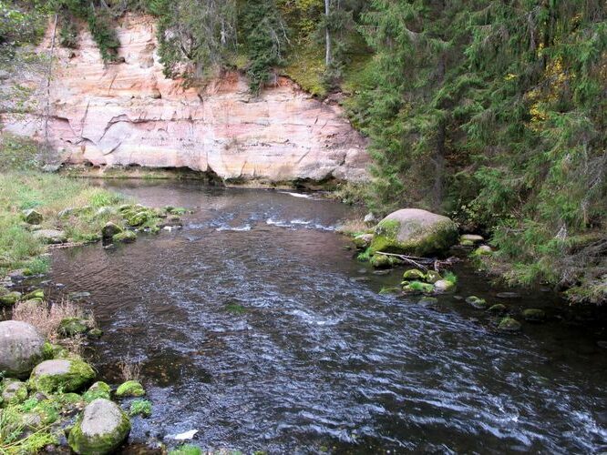 Maakond: Põlvamaa Veekogu nimi: Ahja jõgi Pildistamise aeg: 8. oktoober 2011 Pildistaja: H. Timm Pildistamise koht: Suur Taevaskoda Asimuut: