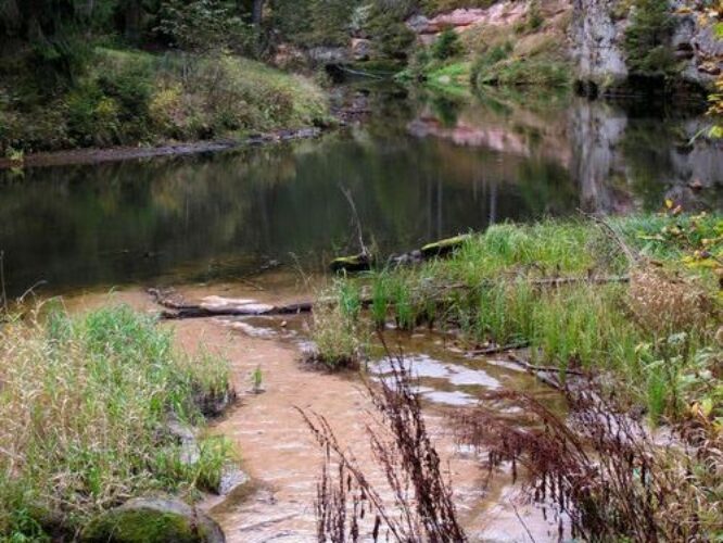 Maakond: Põlvamaa Veekogu nimi: Ahja jõgi Pildistamise aeg: 8. oktoober 2011 Pildistaja: H. Timm Pildistamise koht: Taevaskoja Emaläte Asimuut: