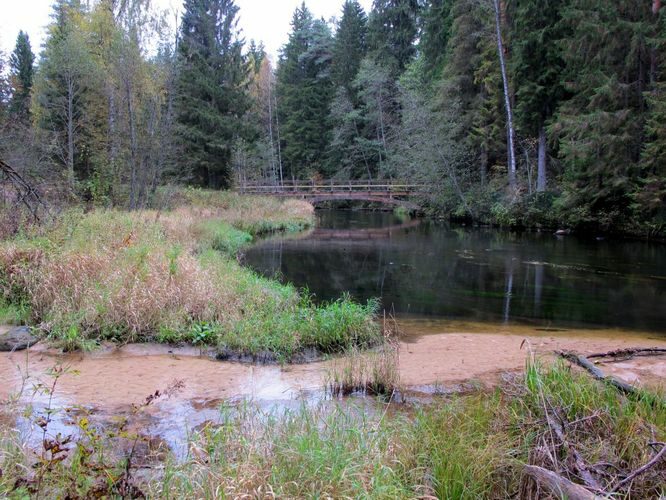 Maakond: Põlvamaa Veekogu nimi: Ahja jõgi Pildistamise aeg: 8. oktoober 2011 Pildistaja: H. Timm Pildistamise koht: Taevaskoja Emaläte Asimuut: