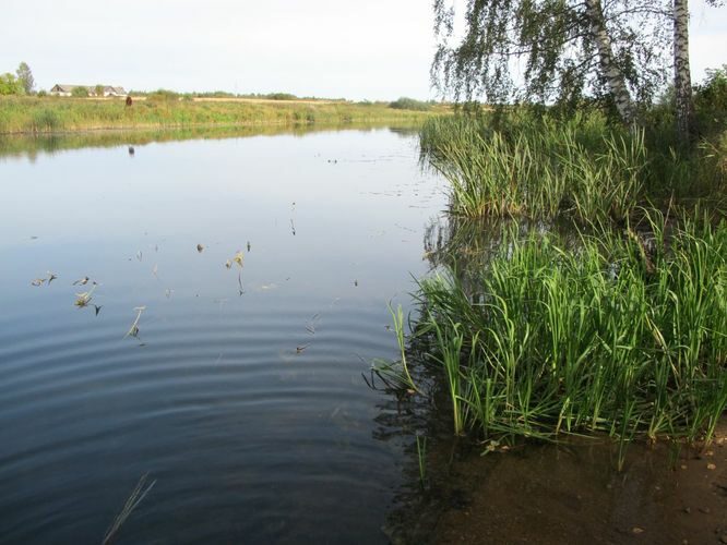 Maakond: Tartumaa Veekogu nimi: Ahja jõgi Pildistamise aeg: 22. september 2012 Pildistaja: H. Timm Pildistamise koht: Lääniste Asimuut: