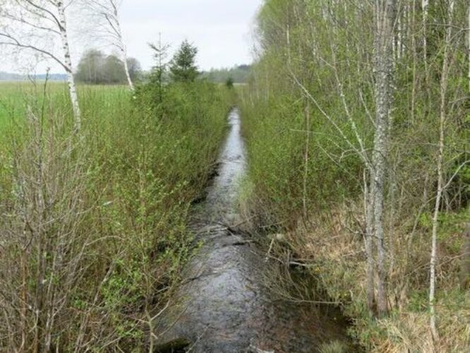 Maakond: Raplamaa Veekogu nimi: Ahtama pkr. Pildistamise aeg: 12. mai 2013 Pildistaja: H. Timm Pildistamise koht: teadmata Asimuut: