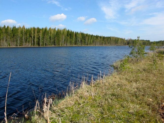 Maakond: Põlvamaa Veekogu nimi: Akste järv Pildistamise aeg: 5. mai 2012 Pildistaja: H. Timm Pildistamise koht: teadmata Asimuut: