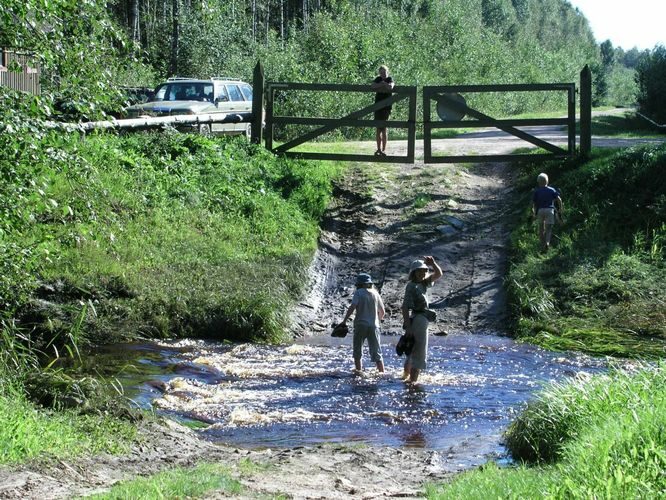 Maakond: Pärnumaa Veekogu nimi: Allika jõgi Pildistamise aeg: august 2005 Pildistaja: H. Timm Pildistamise koht: Soontagana matkaraja alguses Asimuut: