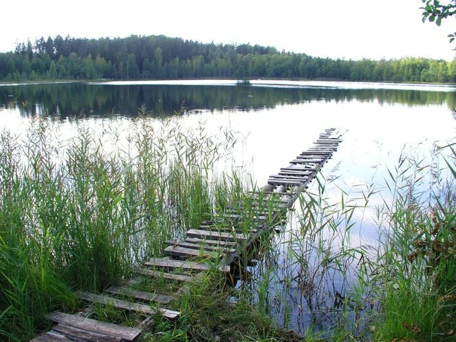 Maakond: Põlvamaa Veekogu nimi: Alopi järv Pildistamise aeg: august 2006 Pildistaja: H. Timm Pildistamise koht: teadmata Asimuut: