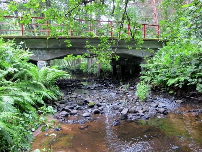 Maakond: Lääne-Virumaa Veekogu nimi: Altja oja Pildistamise aeg: 16. juuli 2011 Pildistaja: H. Timm Pildistamise koht: alamjooks Asimuut: