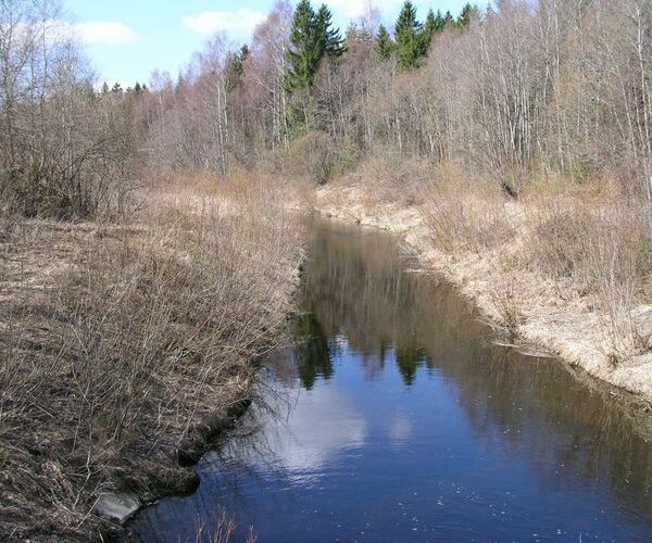 Maakond: Järvamaa Veekogu nimi: Ambla jõgi Pildistamise aeg: 24. aprill 2003 Pildistaja: H. Timm Pildistamise koht: Sääsküla Asimuut: