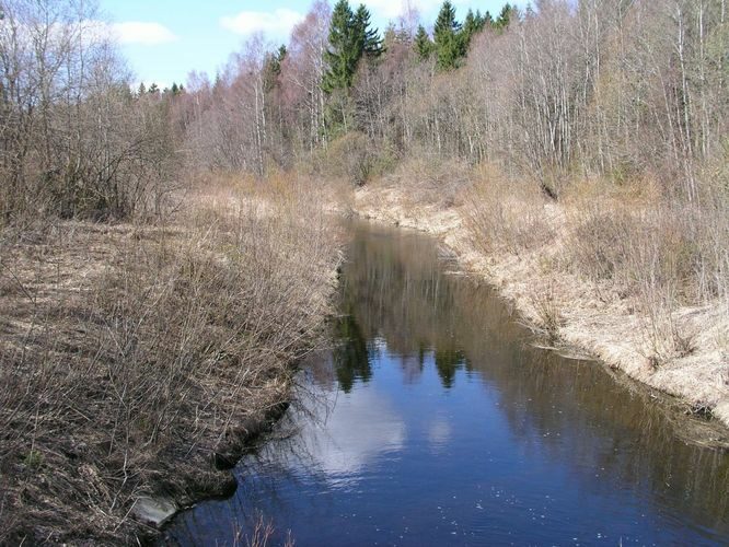 Maakond: Järvamaa Veekogu nimi: Ambla jõgi Pildistamise aeg: 24. aprill 2003 Pildistaja: H. Timm Pildistamise koht: Sääsküla Asimuut: