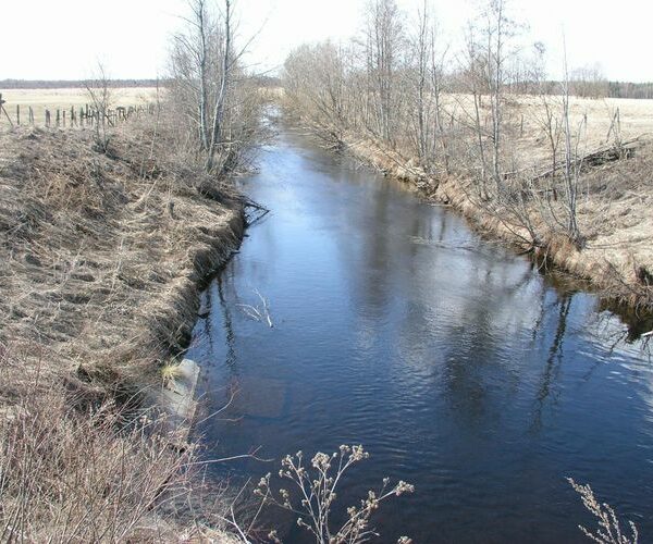 Maakond: Järvamaa Veekogu nimi: Ambla jõgi Pildistamise aeg: 24. aprill 2003 Pildistaja: H. Timm Pildistamise koht: Napu Asimuut: