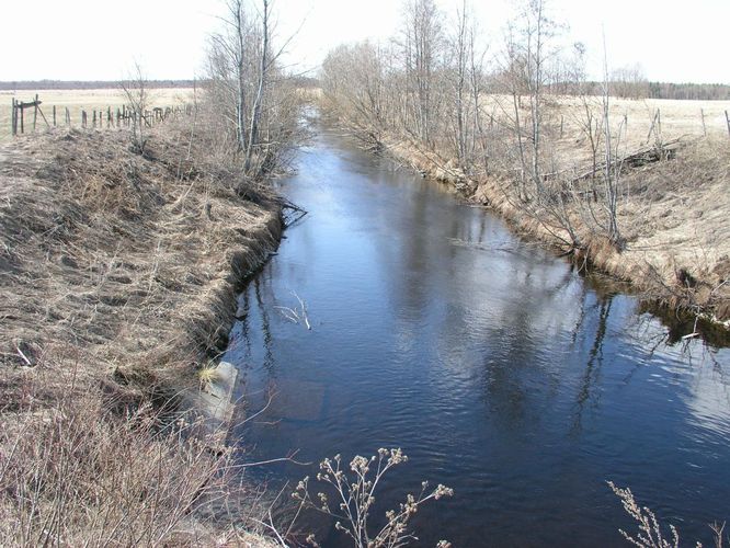 Maakond: Järvamaa Veekogu nimi: Ambla jõgi Pildistamise aeg: 24. aprill 2003 Pildistaja: H. Timm Pildistamise koht: Napu Asimuut: