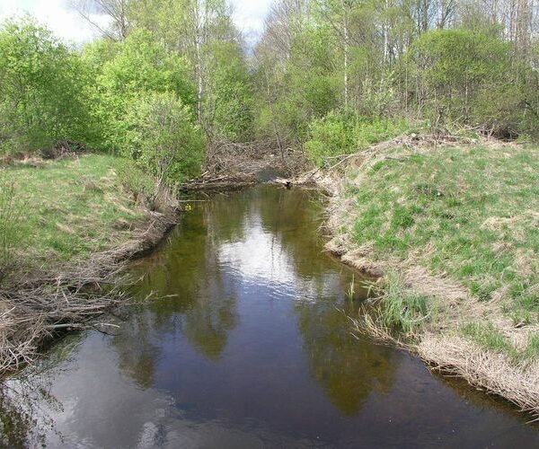 Maakond: Järvamaa Veekogu nimi: Ambla jõgi Pildistamise aeg: 13. mai 2009 Pildistaja: H. Timm Pildistamise koht: Ambla Asimuut: