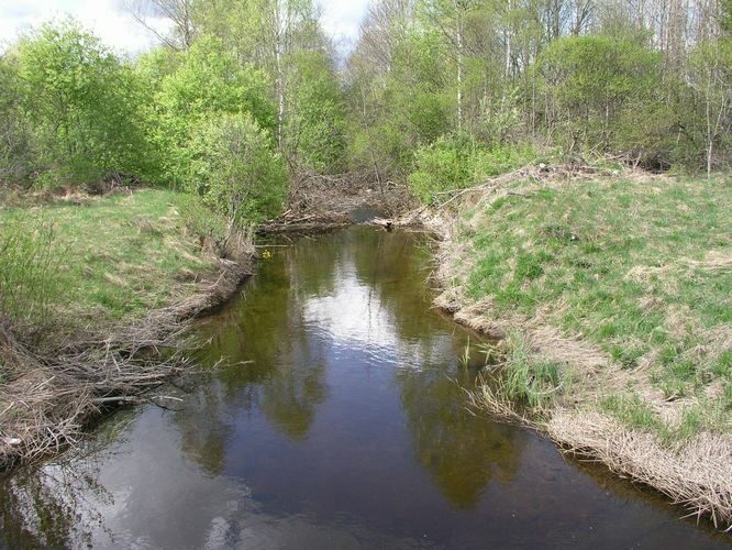 Maakond: Järvamaa Veekogu nimi: Ambla jõgi Pildistamise aeg: 13. mai 2009 Pildistaja: H. Timm Pildistamise koht: Ambla Asimuut: