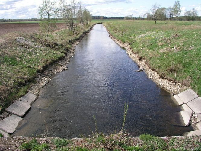 Maakond: Järvamaa Veekogu nimi: Ambla jõgi Pildistamise aeg: 13. mai 2009 Pildistaja: H. Timm Pildistamise koht: alamjooks Asimuut: