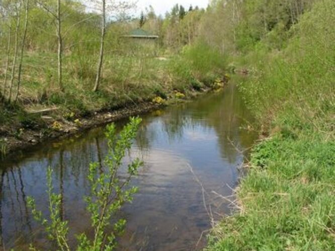 Maakond: Järvamaa Veekogu nimi: Ambla jõgi Pildistamise aeg: 13. mai 2009 Pildistaja: H. Timm Pildistamise koht: Albu - Kukevere Asimuut: