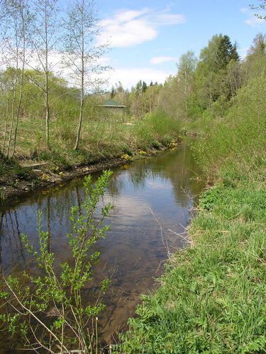 Maakond: Järvamaa Veekogu nimi: Ambla jõgi Pildistamise aeg: 13. mai 2009 Pildistaja: H. Timm Pildistamise koht: Albu - Kukevere Asimuut: