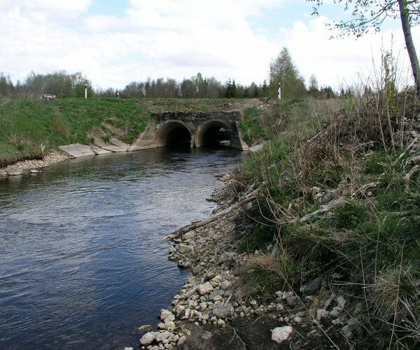 Maakond: Järvamaa Veekogu nimi: Ambla jõgi Pildistamise aeg: 13. mai 2009 Pildistaja: H. Timm Pildistamise koht: alamjooks Asimuut: