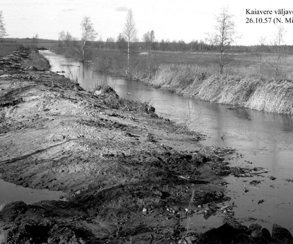 Maakond: Jõgevamaa Veekogu nimi: Amme jõgi Pildistamise aeg: 26. oktoober 1957 Pildistaja: N. Mikelsaar Pildistamise koht: v Asimuut: