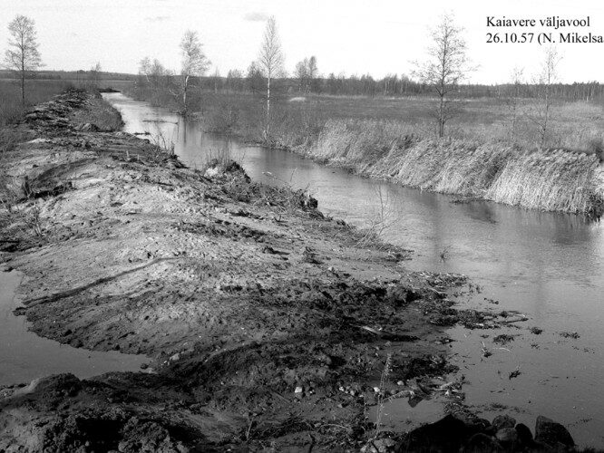 Maakond: Jõgevamaa Veekogu nimi: Amme jõgi Pildistamise aeg: 26. oktoober 1957 Pildistaja: N. Mikelsaar Pildistamise koht: v Asimuut: