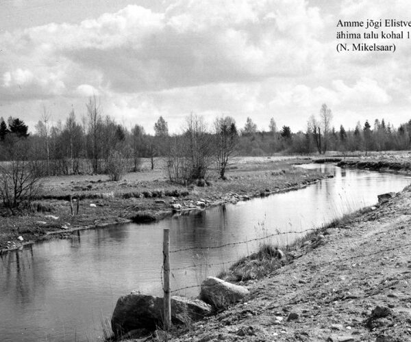 Maakond: Jõgevamaa Veekogu nimi: Amme jõgi Pildistamise aeg: 1959 Pildistaja: N. Mikelsaar Pildistamise koht: Elistvere j Asimuut: