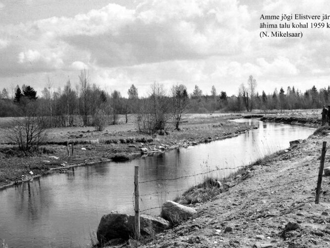 Maakond: Jõgevamaa Veekogu nimi: Amme jõgi Pildistamise aeg: 1959 Pildistaja: N. Mikelsaar Pildistamise koht: Elistvere j Asimuut: