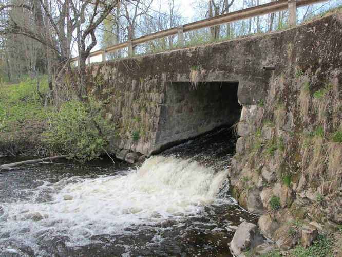 Maakond: Jõgevamaa Veekogu nimi: Amme jõgi Pildistamise aeg: 7. mai 2011 Pildistaja: H. Timm Pildistamise koht: Ehavere Asimuut: