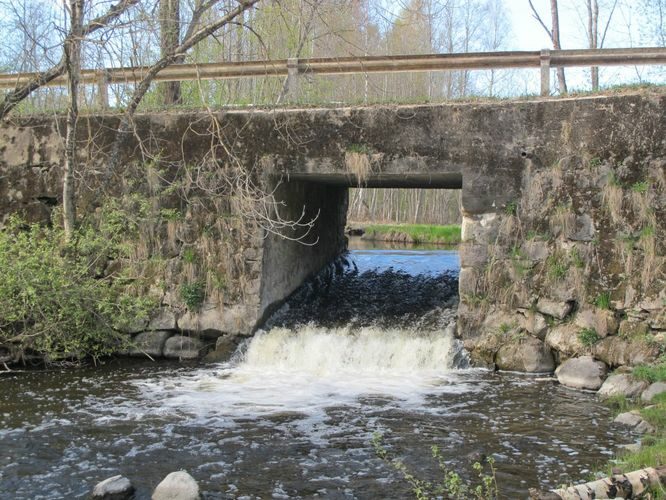 Maakond: Jõgevamaa Veekogu nimi: Amme jõgi Pildistamise aeg: 7. mai 2011 Pildistaja: H. Timm Pildistamise koht: Ehavere Asimuut: