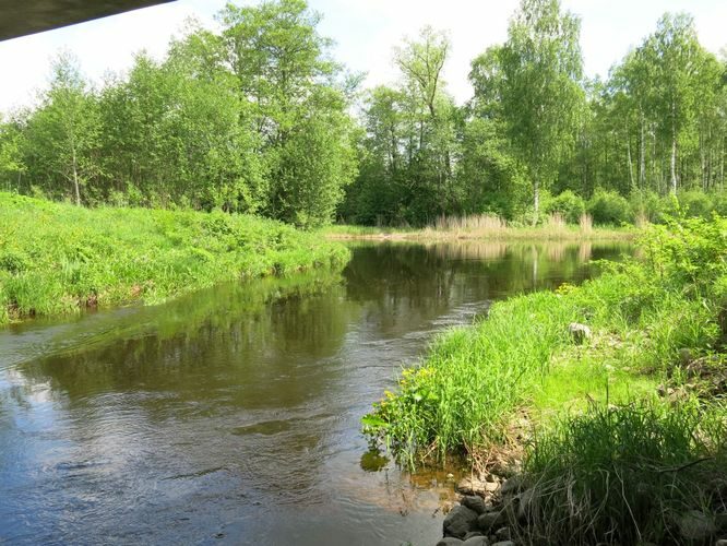 Maakond: Jõgevamaa Veekogu nimi: Amme jõgi Pildistamise aeg: 23. mai 2013 Pildistaja: H. Timm Pildistamise koht: Kärkna Asimuut: