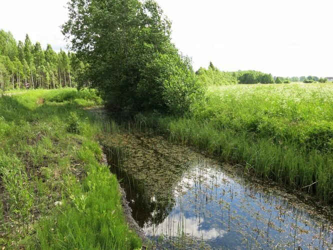 Maakond: Pärnumaa Veekogu nimi: Anne pkr. Pildistamise aeg: 11. juuni 2013 Pildistaja: H. Timm Pildistamise koht: Lehu Asimuut: