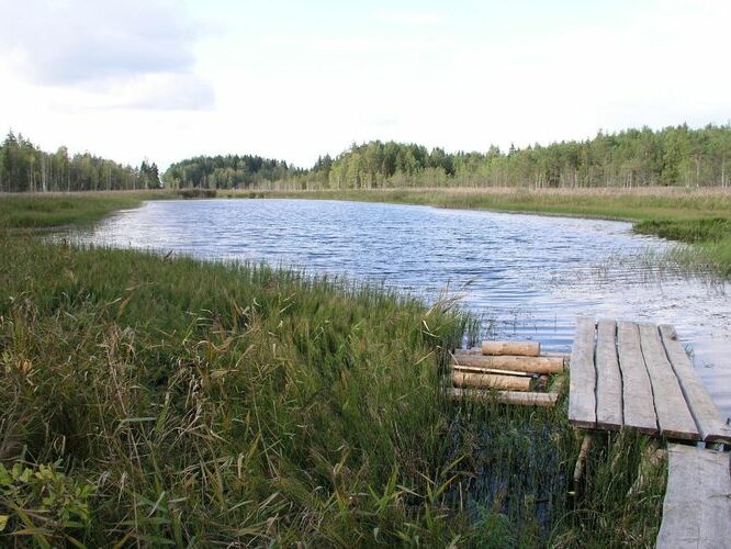 Maakond: Lääne-Virumaa Veekogu nimi: Äntu Kaanjärv Pildistamise aeg: 6. september 2006 Pildistaja: H. Timm Pildistamise koht: teadmata Asimuut: