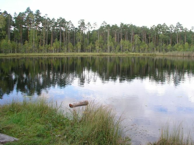 Maakond: Lääne-Virumaa Veekogu nimi: Äntu Mäetaguse järv Pildistamise aeg: 6. september 2006 Pildistaja: H. Timm Pildistamise koht: teadmata Asimuut: