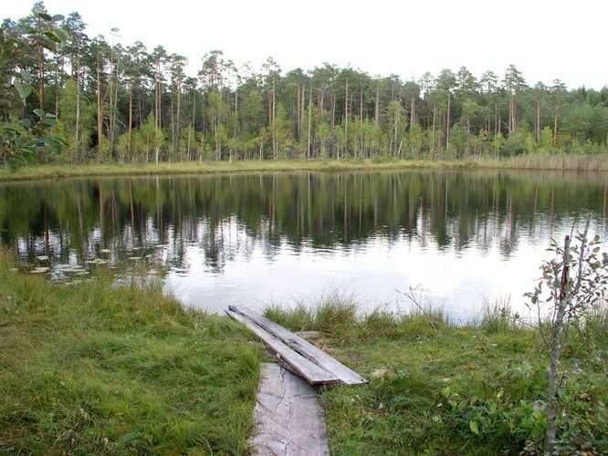 Maakond: Lääne-Virumaa Veekogu nimi: Äntu Mäetaguse järv Pildistamise aeg: 6. september 2006 Pildistaja: H. Timm Pildistamise koht: teadmata Asimuut: