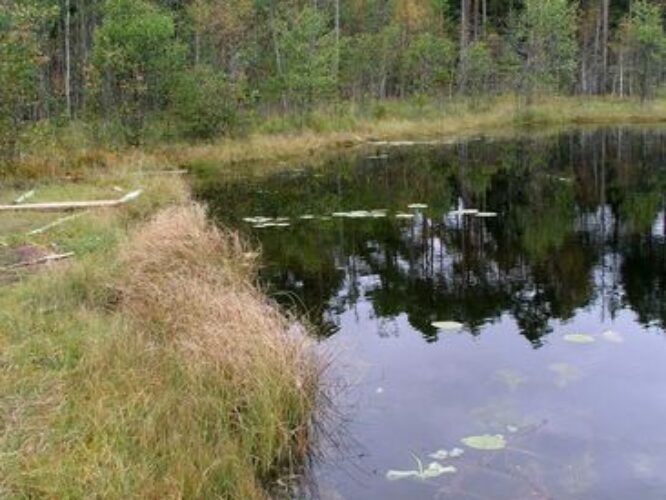 Maakond: Lääne-Virumaa Veekogu nimi: Äntu Mäetaguse järv Pildistamise aeg: 23. september 2009 Pildistaja: H. Timm Pildistamise koht: teadmata Asimuut: