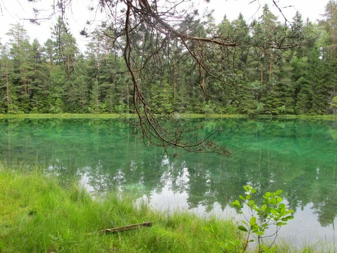 Maakond: Lääne-Virumaa Veekogu nimi: Äntu Sinijärv Pildistamise aeg: 2. juuli 2010 Pildistaja: H. Timm Pildistamise koht: teadmata Asimuut: