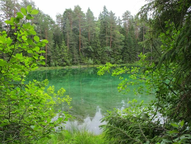 Maakond: Lääne-Virumaa Veekogu nimi: Äntu Sinijärv Pildistamise aeg: 2. juuli 2010 Pildistaja: H. Timm Pildistamise koht: teadmata Asimuut: