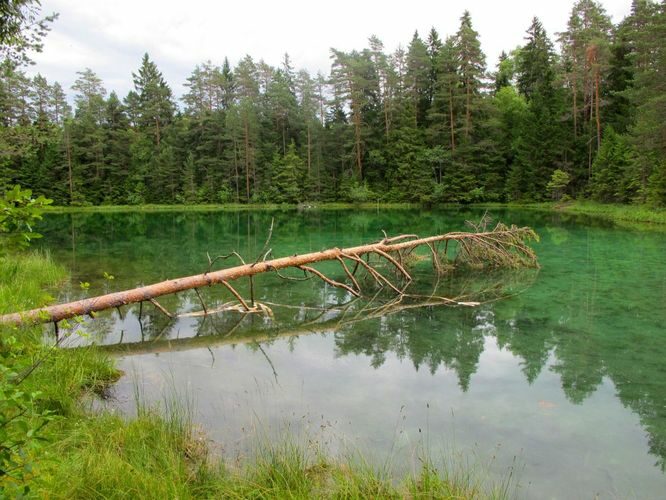 Maakond: Lääne-Virumaa Veekogu nimi: Äntu Sinijärv Pildistamise aeg: 2. juuli 2010 Pildistaja: H. Timm Pildistamise koht: teadmata Asimuut: