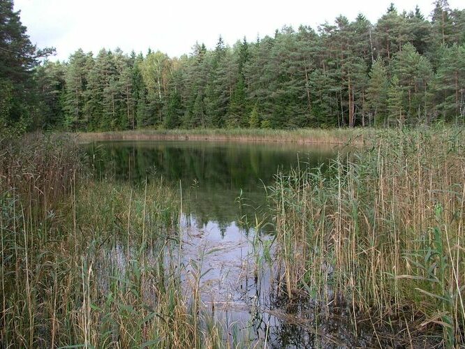 Maakond: Lääne-Virumaa Veekogu nimi: Äntu Vahejärv Pildistamise aeg: 23. september 2009 Pildistaja: H. Timm Pildistamise koht: teadmata Asimuut: