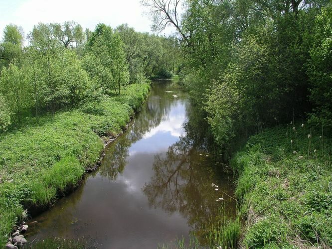 Maakond: Pärnumaa Veekogu nimi: Are Pildistamise aeg: 15. mai 2008 Pildistaja: H. Timm Pildistamise koht: teadmata Asimuut: