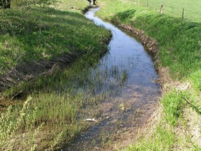 Maakond: Järvamaa Veekogu nimi: Aruküla jõgi Pildistamise aeg: 16. mai 2009 Pildistaja: H. Timm Pildistamise koht: ülemjooks Asimuut: