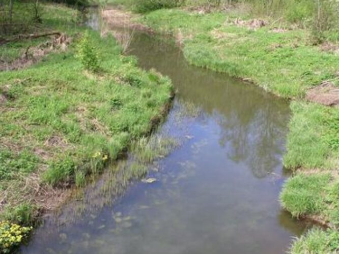 Maakond: Järvamaa Veekogu nimi: Aruküla jõgi Pildistamise aeg: 16. mai 2009 Pildistaja: H. Timm Pildistamise koht: keskjooks Asimuut: