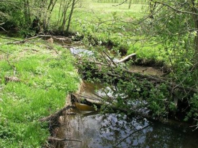 Maakond: Järvamaa Veekogu nimi: Aruküla jõgi Pildistamise aeg: 16. mai 2009 Pildistaja: H. Timm Pildistamise koht: alamjooks Asimuut: