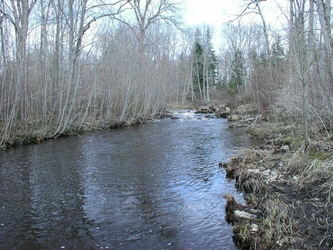 Maakond: Raplamaa Veekogu nimi: Atla jõgi Pildistamise aeg: 26. aprill 2005 Pildistaja: H. Timm Pildistamise koht: Pirgu sillast üles Asimuut: