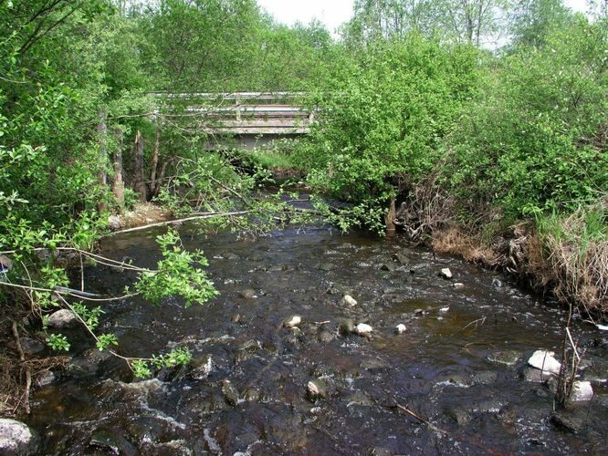 Maakond: Pärnumaa Veekogu nimi: Audru jõgi Pildistamise aeg: 13. mai 2008 Pildistaja: H. Timm Pildistamise koht: Jõõpre Asimuut: