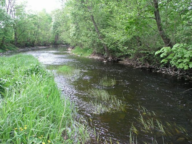 Maakond: Pärnumaa Veekogu nimi: Audru jõgi Pildistamise aeg: 13. mai 2008 Pildistaja: H. Timm Pildistamise koht: Audru Asimuut: