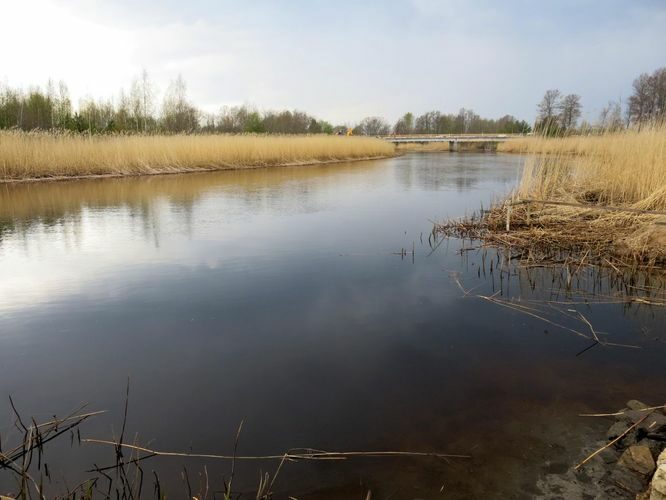 Maakond: Pärnumaa Veekogu nimi: Audru jõgi Pildistamise aeg: 9. mai 2013 Pildistaja: H. Timm Pildistamise koht: alamjooks Asimuut: