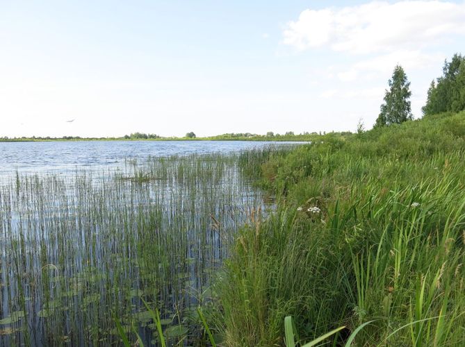 Maakond: Põlvamaa Veekogu nimi: Beresje järv Pildistamise aeg: 13. juuli 2013 Pildistaja: H. Timm Pildistamise koht: teadmata Asimuut:
