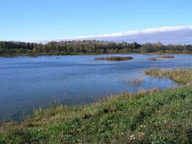 Maakond: Järvamaa Veekogu nimi: Eistvere veehoidla Pildistamise aeg: 11. oktoober 2004 Pildistaja: H. Timm Pildistamise koht: teadmata Asimuut: