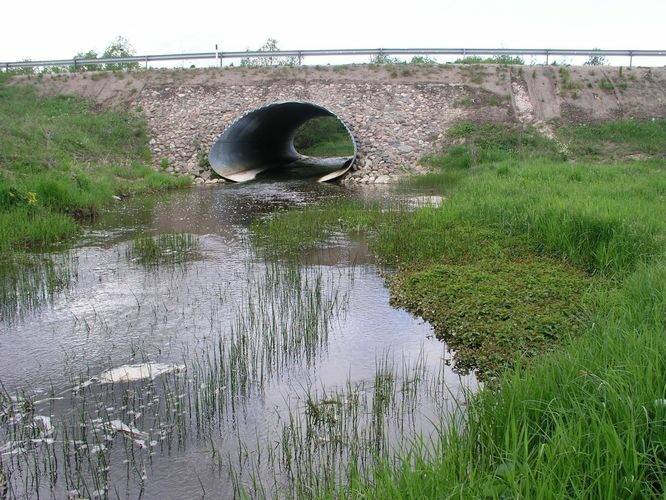 Maakond: Pärnumaa Veekogu nimi: Elbu oja Pildistamise aeg: 15. mai 2008 Pildistaja: H. Timm Pildistamise koht: teadmata Asimuut: