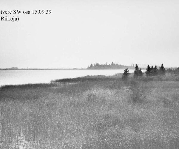 Maakond: Jõgevamaa Veekogu nimi: Elistvere järv Pildistamise aeg: 15. september 1939 Pildistaja: H. Riikoja Pildistamise koht: SW osa Asimuut: