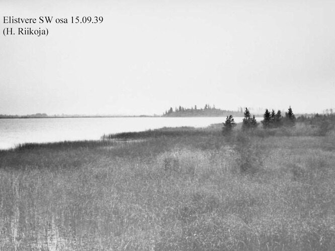 Maakond: Jõgevamaa Veekogu nimi: Elistvere järv Pildistamise aeg: 15. september 1939 Pildistaja: H. Riikoja Pildistamise koht: SW osa Asimuut: